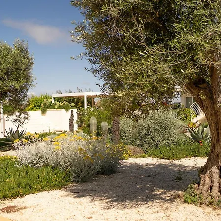 דירה Guesthost - Borgo 84 - Cuore Blu Flat מרצאממי